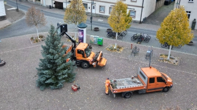 Ä Tännchen please! Diesmal kommt der Weihnachtsbaum direkt aus Taucha (Foto: taucha-kompakt.de)